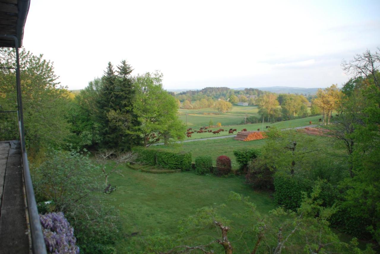 B&B Chateau Le Bois Saint-Julien-aux-Bois Exterior foto